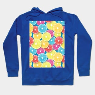 Citrus fruit slices pop art 2 Hoodie